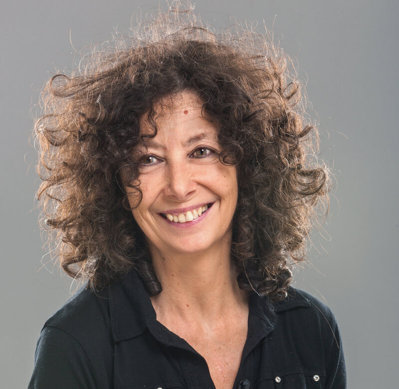 Simona Ilari, Operatrice culturale