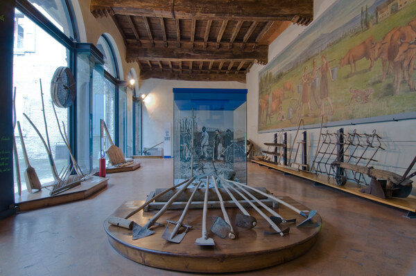 Servizi museali